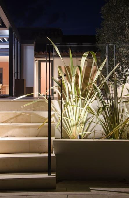 Villa Des Jacinthes Tarascon Ngoại thất bức ảnh