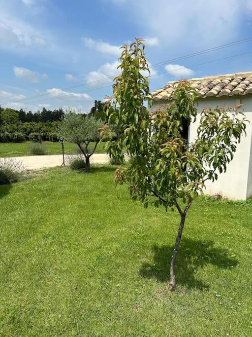 Villa Des Jacinthes Tarascon Ngoại thất bức ảnh